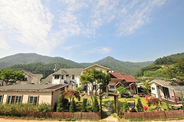 Terrace Pension - Photo2