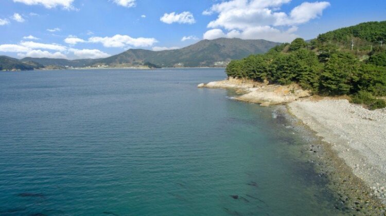 Geoje Merveille Pension - Photo4