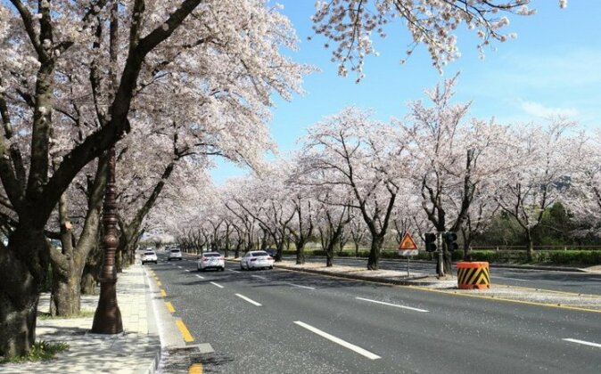 Gyeongju Han-areum Pension - Photo5