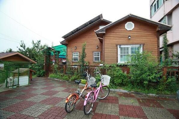 Tavo House - Photo2