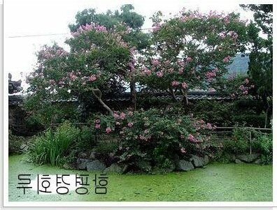 Hampyeong Gyeonghoeru - Photo4