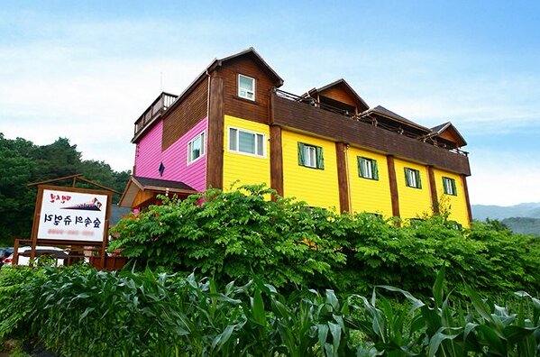 Hoengseong Forest Jewellery Pension - Photo3