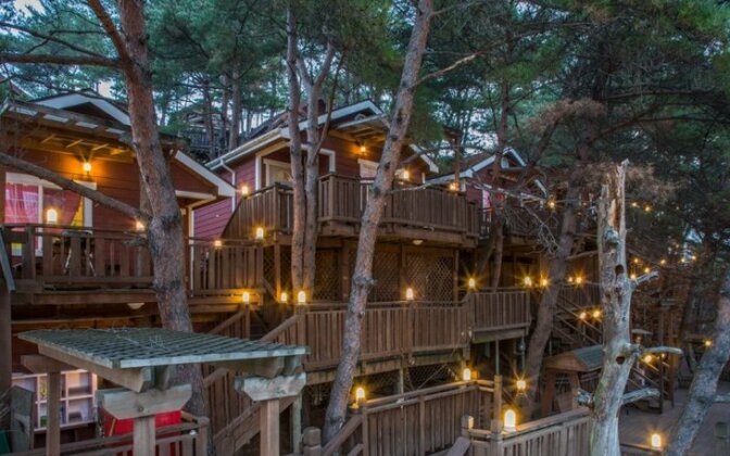 Hoengseong Pinebell Pension - Photo4