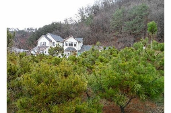 Hoengseong Starry Nest Pension - Photo2