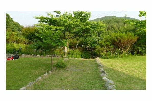 Hoengseong Starry Nest Pension - Photo3