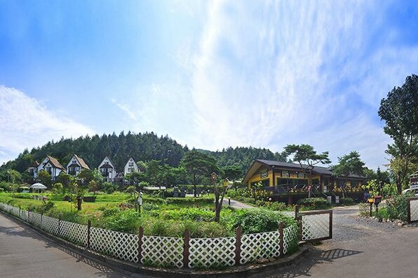 Hongcheon Gogh and sunflower Pension - Photo2