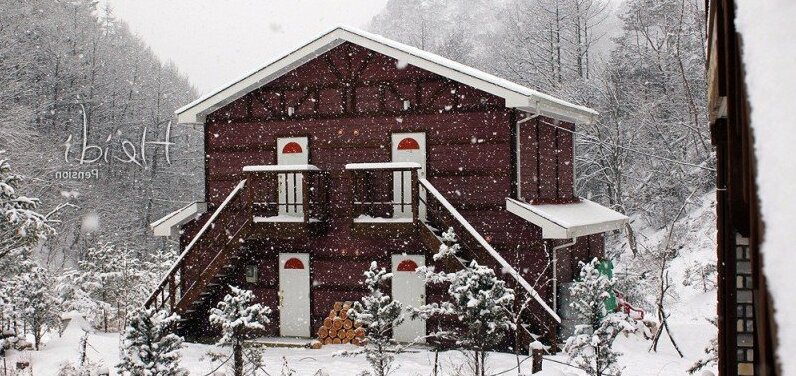 Hongcheon Heidi Pension - Photo3