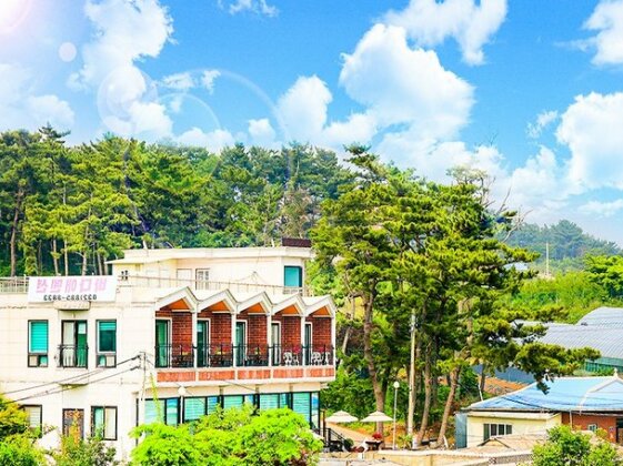 Daebudo Yeongheungdo Badaae Pension - Photo3