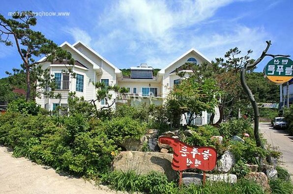 Ganghwa Evergreen Pension - Photo5