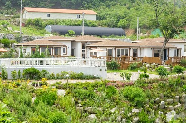 Ganghwa Herb Land Guesthouse - Photo2