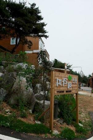 Therapy Pension - Photo5