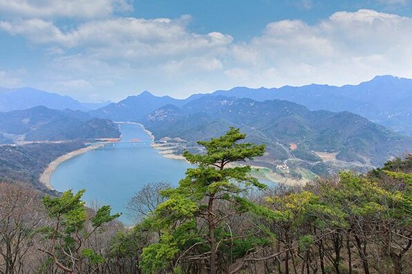 Jecheon Marine Hill Pension - Photo3