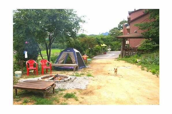 Jecheon Sineka Green Plant Pension - Photo5