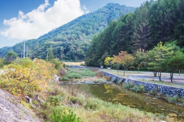 Jecheon Skylight Pension - Photo4