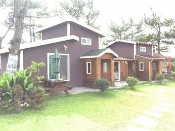 Jeju Amor House Hostel
