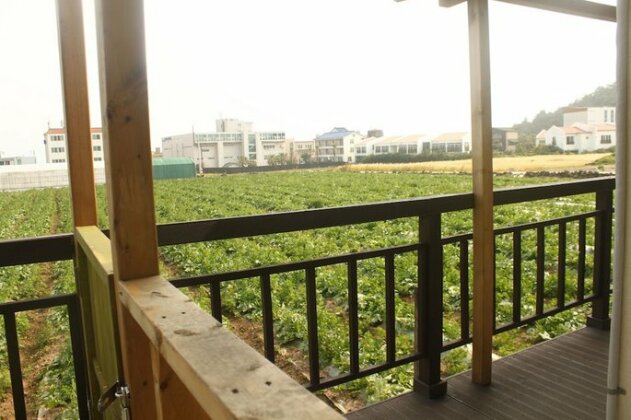 Jeju Gillime Pension Guesthouse - Photo3