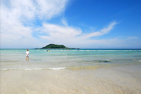 Jeju Hyeoppjae Some&Ssam Guesthouse - Photo5