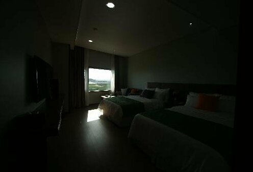 Oslo Hotel Jeju - Photo2