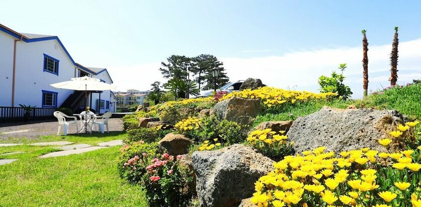 White Dream Pension - Photo3