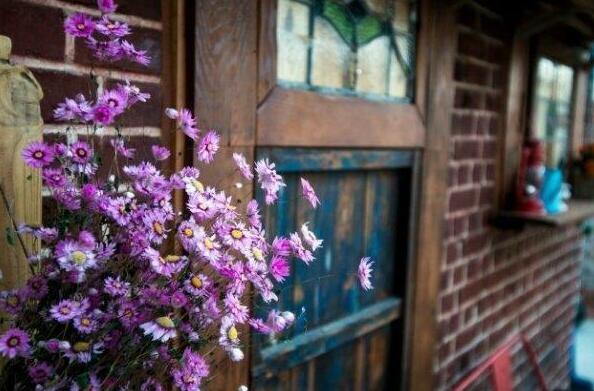 Byulnuri Guesthouse - Photo3