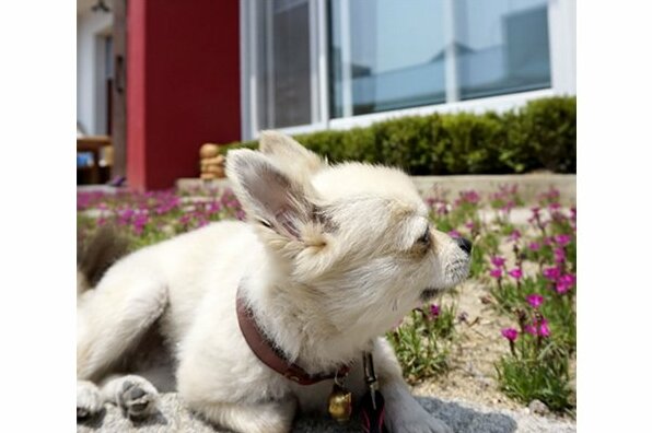 Ggol Guesthouse - Photo4