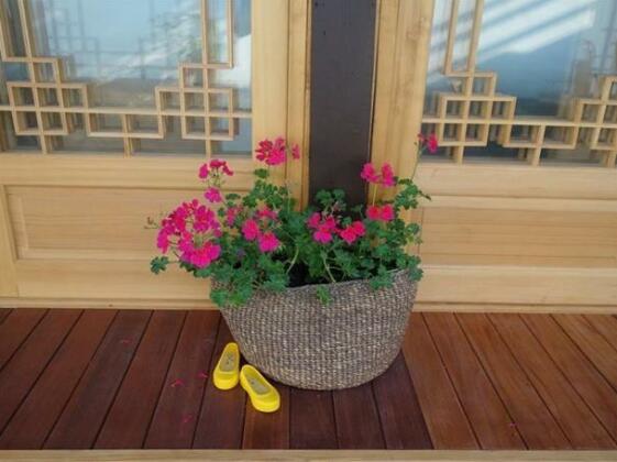 Jeonju Hongsi Hanok Guesthouse - Photo2