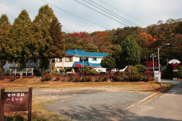 Muju Bakam Villa Pension - Photo3
