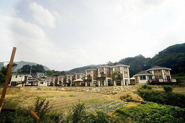 Muju Crayon Pension - Photo2