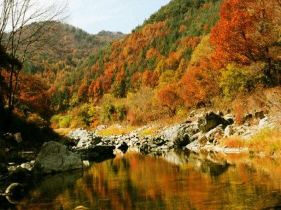 Muju One Mind Pension - Photo4