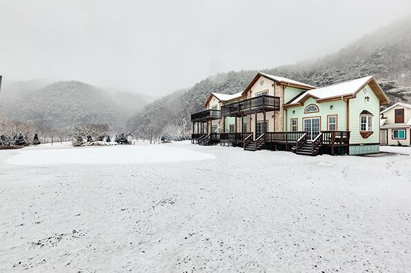 Mungyeong Sunflower Pension&Camping site - Photo3