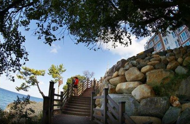 DMZ Pension - Photo3