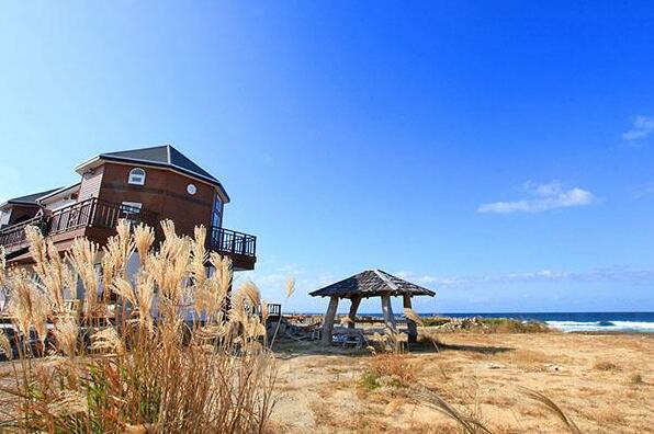 Pohang Daorae Pension - Photo3