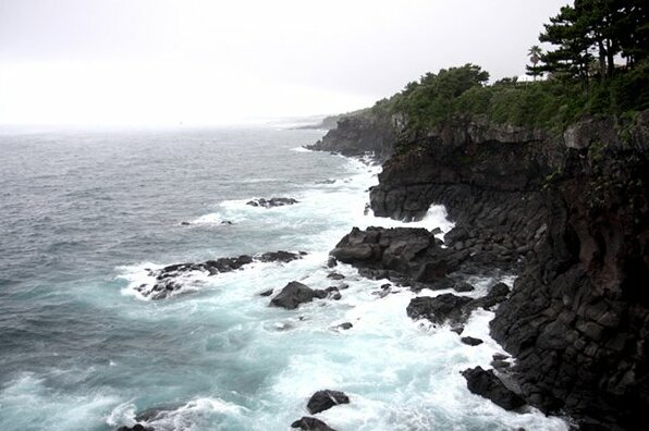 Pohang Homigot light Pension - Photo5