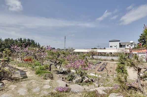 Pohang Loren Pension