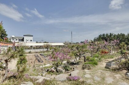 Pohang Loren Pension