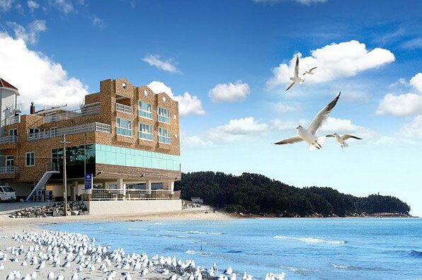Pohang Venezia Pension - Photo3