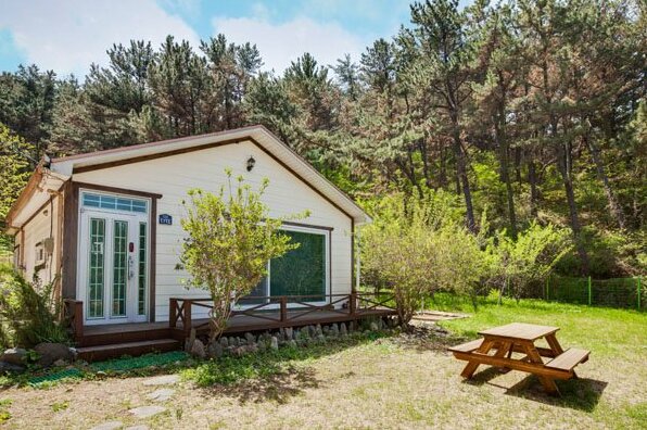 Pohang Wonine house Pension - Photo2