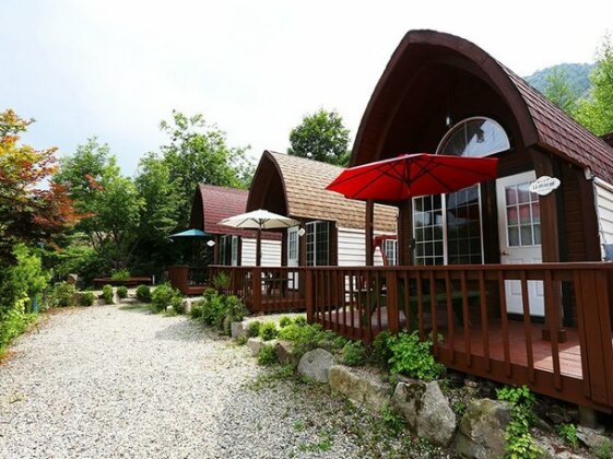 Azure Wings Pension - Photo3
