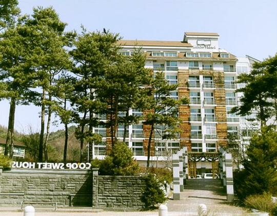 Coop Sweet House Pyeongchang