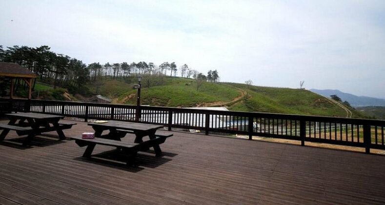 Daegwallyeong Safari Farm Pension - Photo4