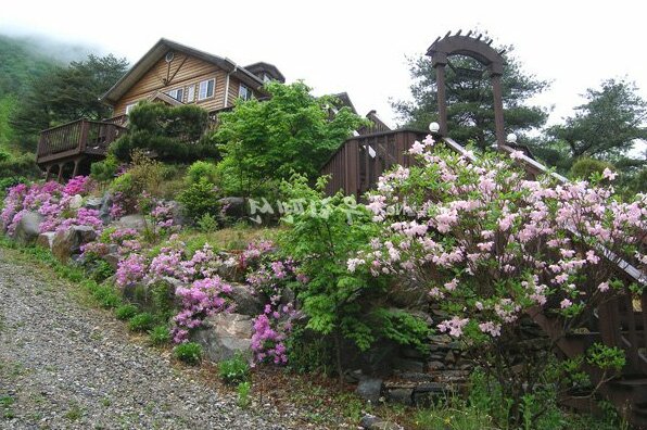 Fairy tale Pension - Photo2