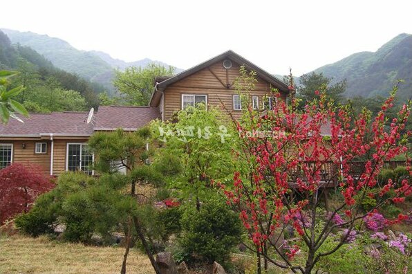 Fairy tale Pension - Photo3