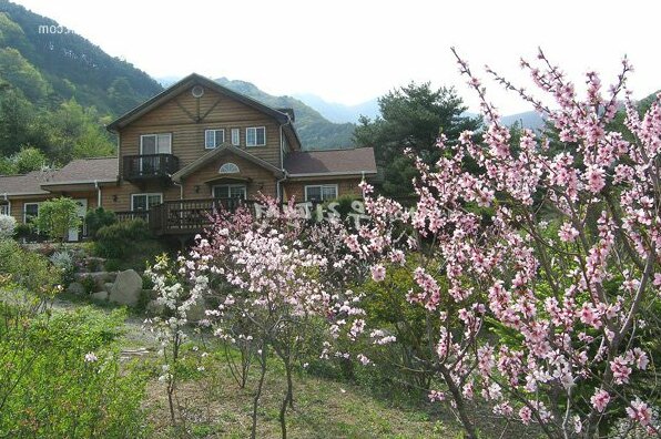 Fairy tale Pension - Photo4