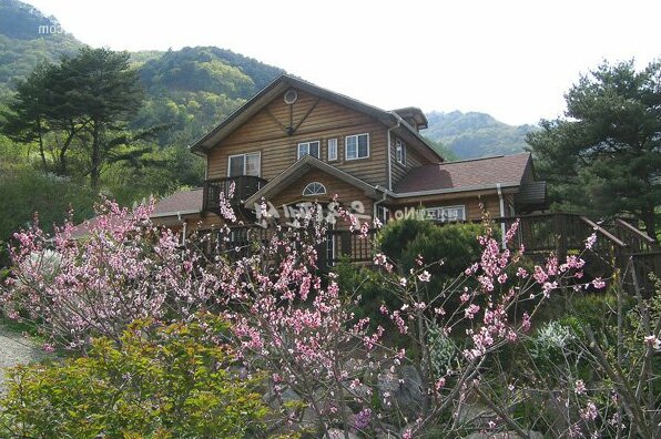 Fairy tale Pension - Photo5