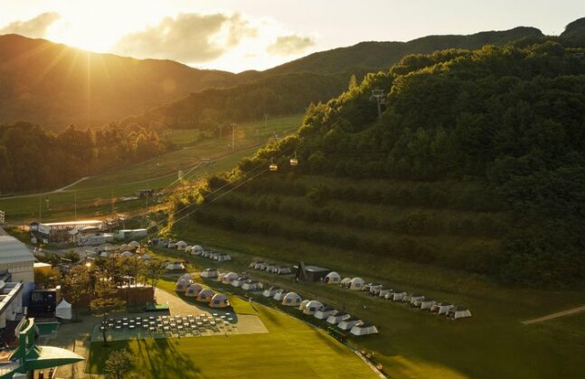Phoenix Pyeongchang Hotel - Photo5