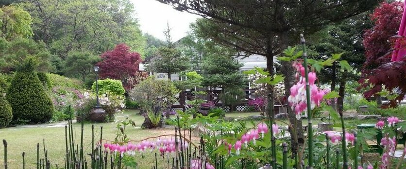 Starvill Pension - Photo3