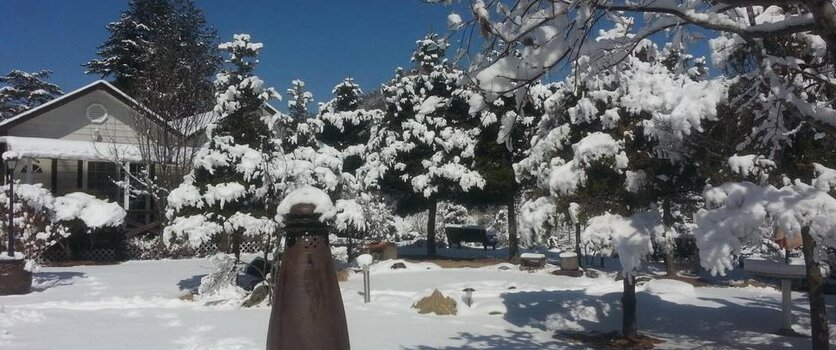 Starvill Pension - Photo4