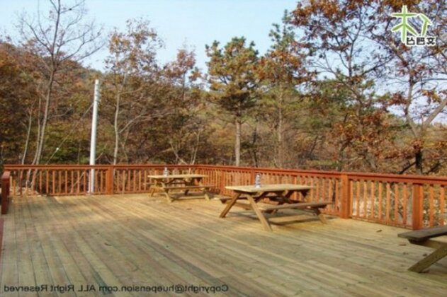 Sejong Rodem Hill Pension - Photo4