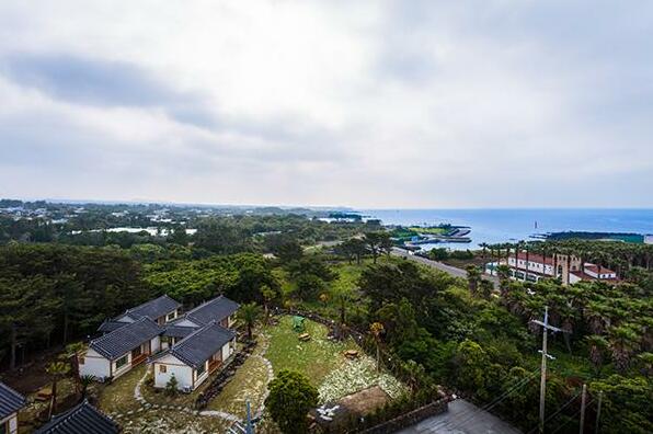 Jeju Namtaejae Pension - Photo3