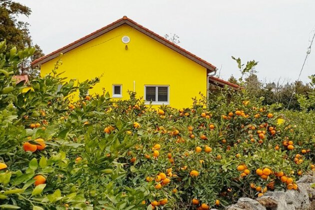 Jeju Yellow Guesthouse